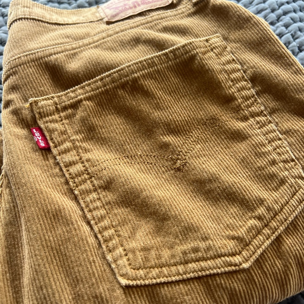 Men’s Levi’s ‘94 Baggy Cords size 31